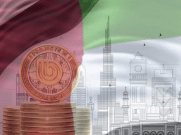 Real Estate Laundering