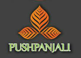 ED files Complaint Filed Against Directors of Sat Pushpanjali Realms & Infratech Ltd.