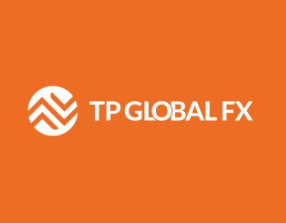 ED Detains Major Accused in TP Global FX Forex Trading Scam