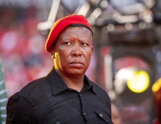 Julius Malema’s Political Firestorm: Elon Musk Demands Sanctions Over Controversial Speech