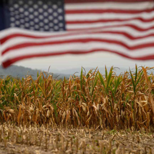 US Hits Foreign Crops with High Tariffs Amid Import Surge