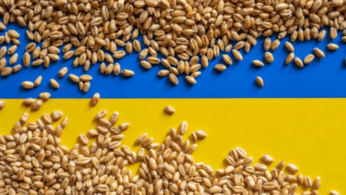 Grain War: Ukraine Warns Bangladesh of Sanctions Over Russian Wheat