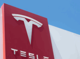 French Tesla Owners Files Lawsuit Over Brand's Political Far-Right Reputation