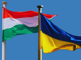 Hungary urges EU to sanction Ukraine over conscription death