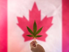 Cannabis legalization fuels $76.5 billion boost to Canada’s economy over six years