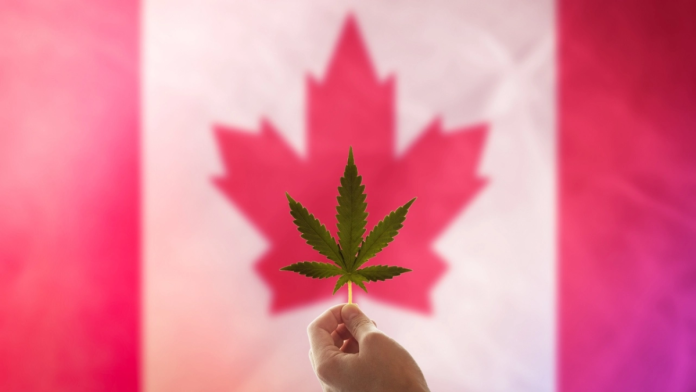 Cannabis legalization fuels $76.5 billion boost to Canada’s economy over six years