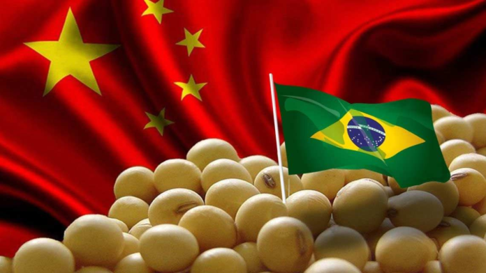 U.S. soybeans face a limited export window in fall months
