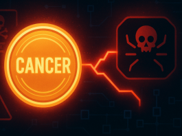 Raivo Plavnieks’ cancer treatment funds of $32,000 stolen in crypto scam