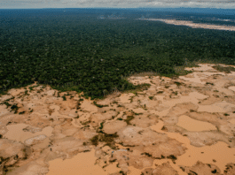 Peru must act on mercury pollution and illegal mining, rules Andean Community