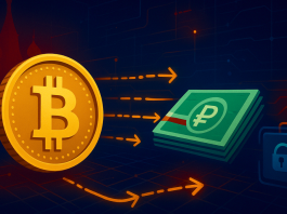A7 network and A7A5 coin transfer $6 billion despite Western financial restrictions
