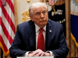 Trump proposes $2,000 payouts from tariffs as Treasury prioritizes debt reduction