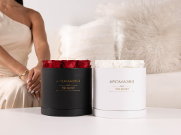 Aroma360 crushes copycat brand in court — judge grants sweeping ban and six-figure settlement Aroma360 Wins Major Lawsuit, Sending a Clear Message About Protecting Originality