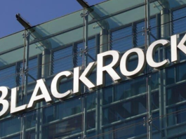 BlackRock report shows how rising debt and AI trends shape crypto adoption