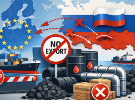 Finland and Sweden stress long-term economic sanctions on Russia at security conference