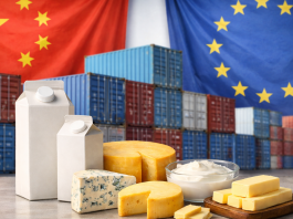China lowers EU dairy tariffs to 7.4%–11.7% after anti-dumping probe