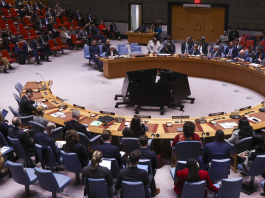 UN fails to adopt resolution on Strait of Hormuz security after veto by China and Russia