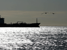 India receives first Iranian oil shipment in 7 years amid limited sanctions relief