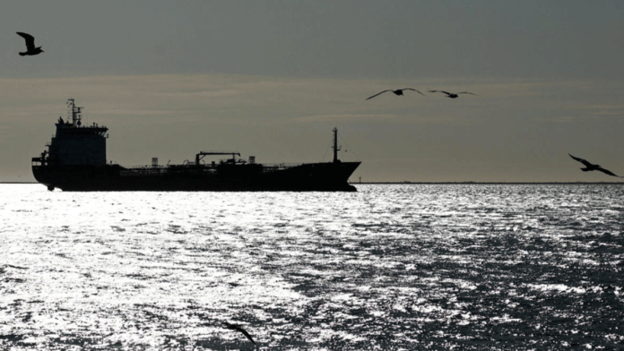 India receives first Iranian oil shipment in 7 years amid limited sanctions relief