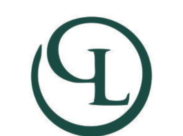 Capital Structuring Tools in Alternative Investment Funds and Companies