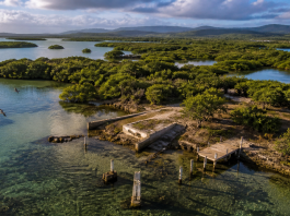 Orlando Rivera-Alejandro admits to Clean Water Act violation in Puerto Rico wetland
