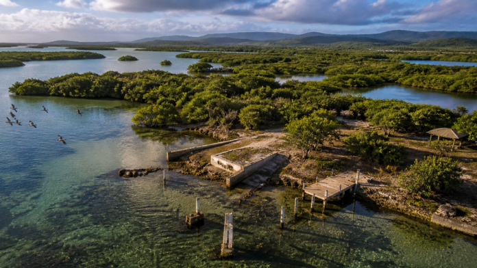 Orlando Rivera-Alejandro admits to Clean Water Act violation in Puerto Rico wetland